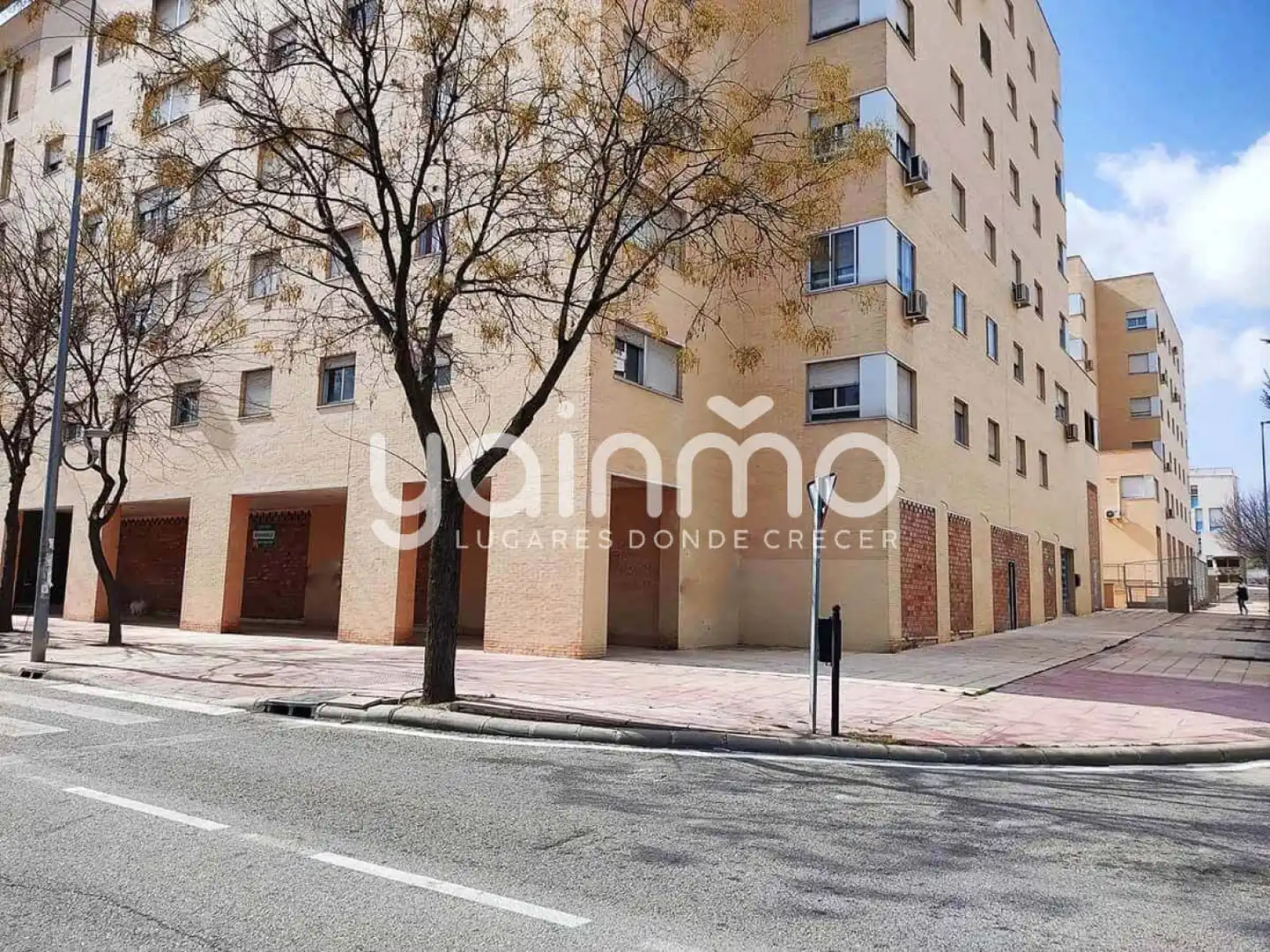 Business premises to rent in Jaén - Paseo de España, imagen 2