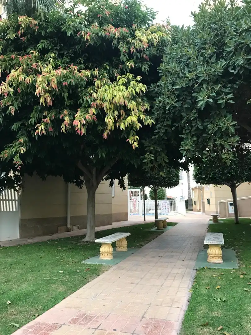 Exterior view of Apartments for sale in Cuenca  with Air Conditioner, Terrace and Furnished