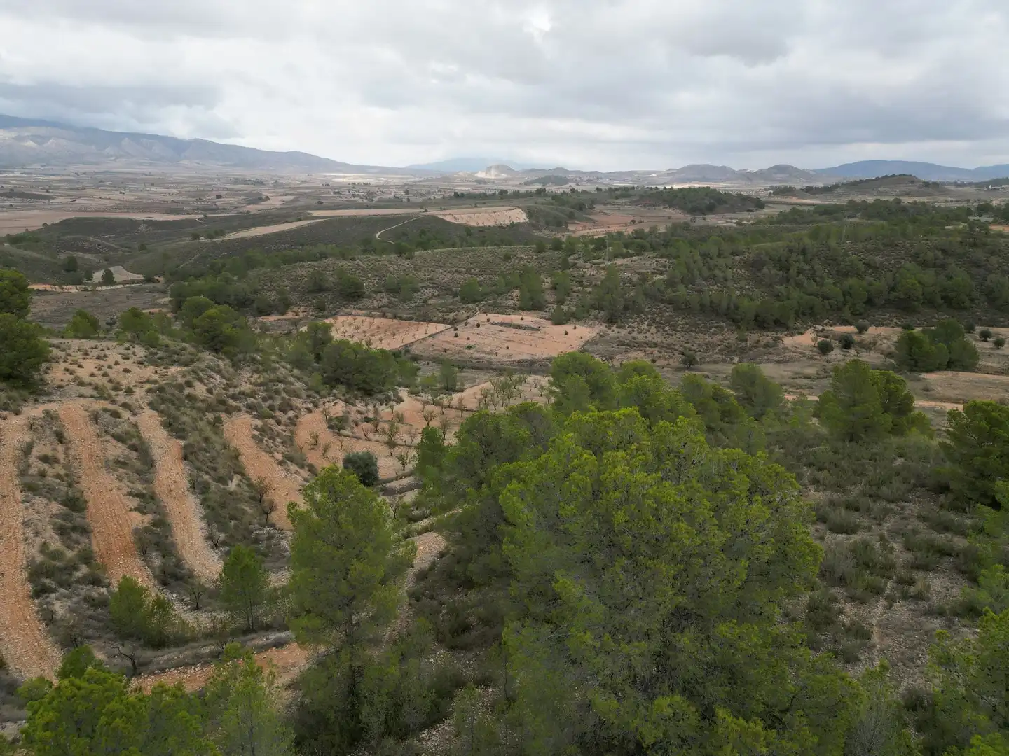 Terreny residencial en venda a Jumilla, imagen 12