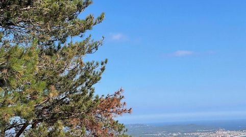 CastellPlatja dAroTerreno, imatge 5