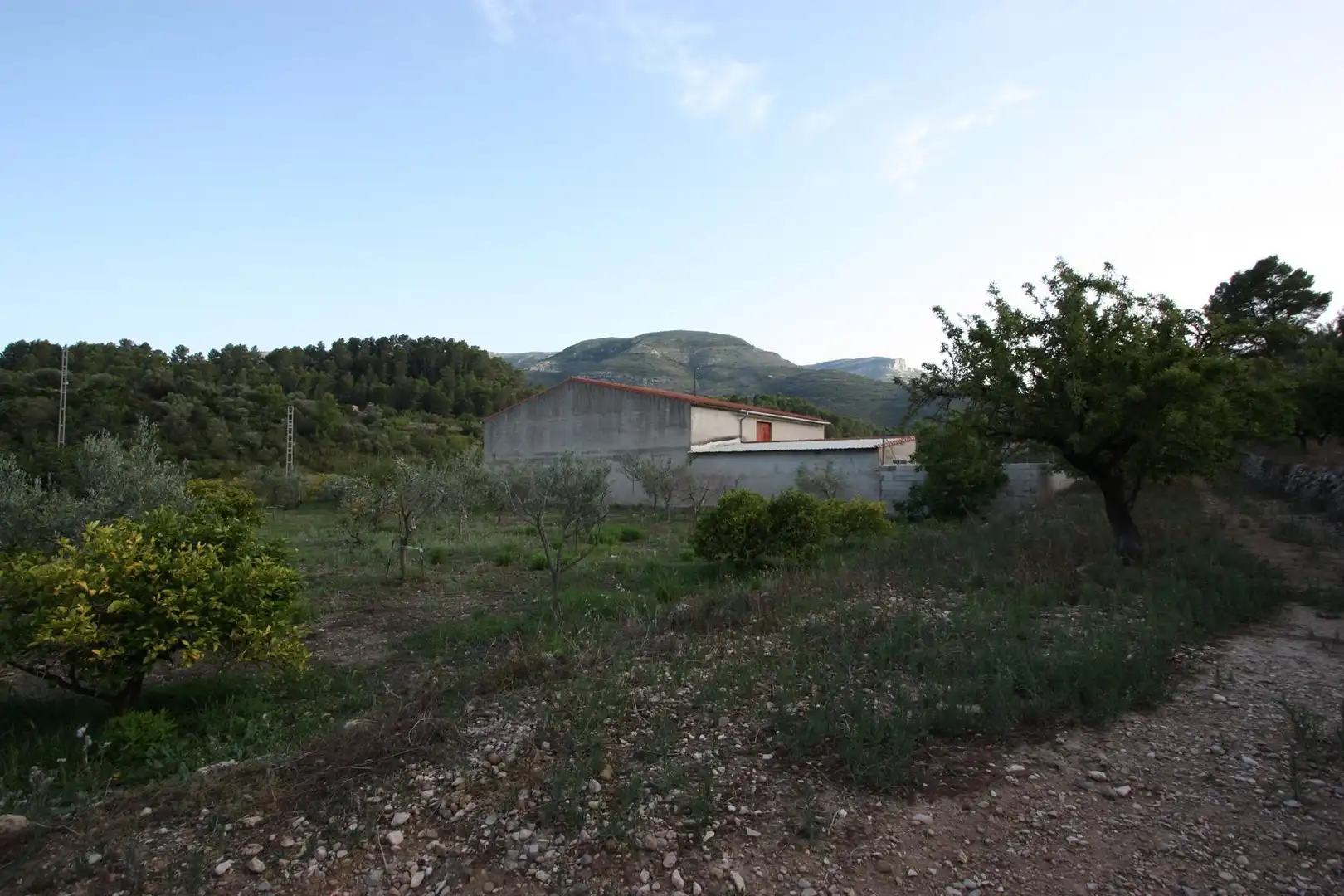 Maison rustique à vendre à Murla, imagen 13
