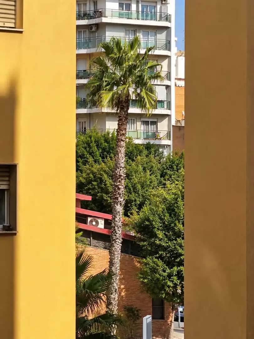 Terraza de Estudio de alquiler en Centro