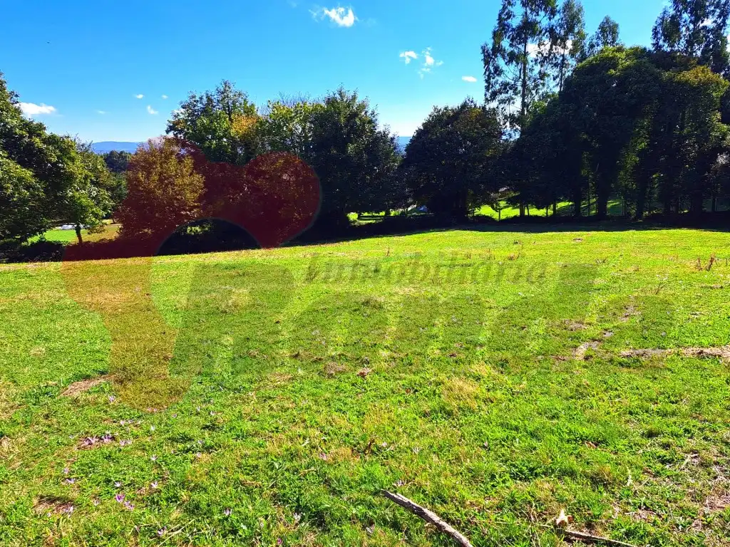 Casa o chalet en venta en Abadín