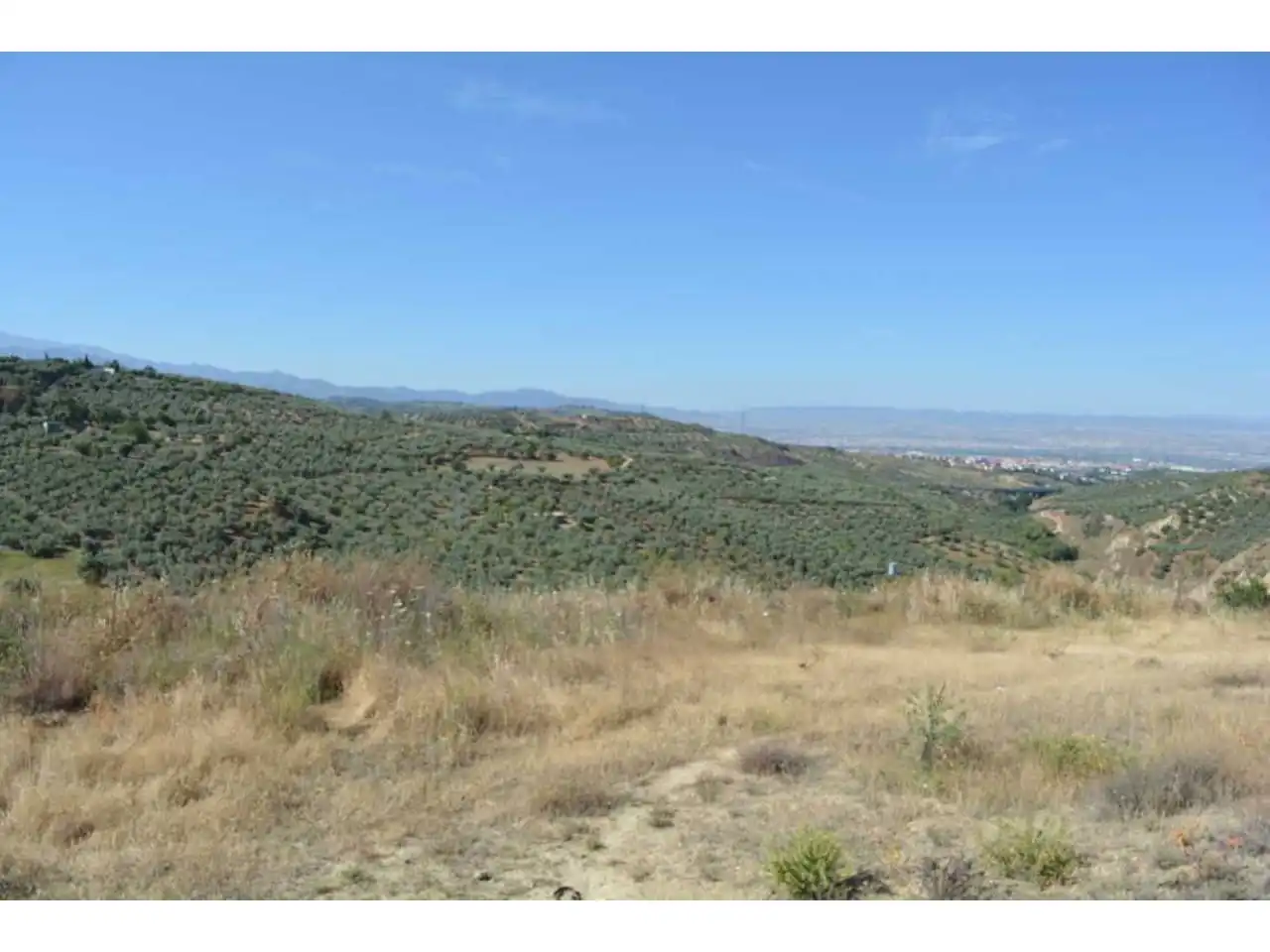Terreny residencial en venda a Alfacar, imagen 18