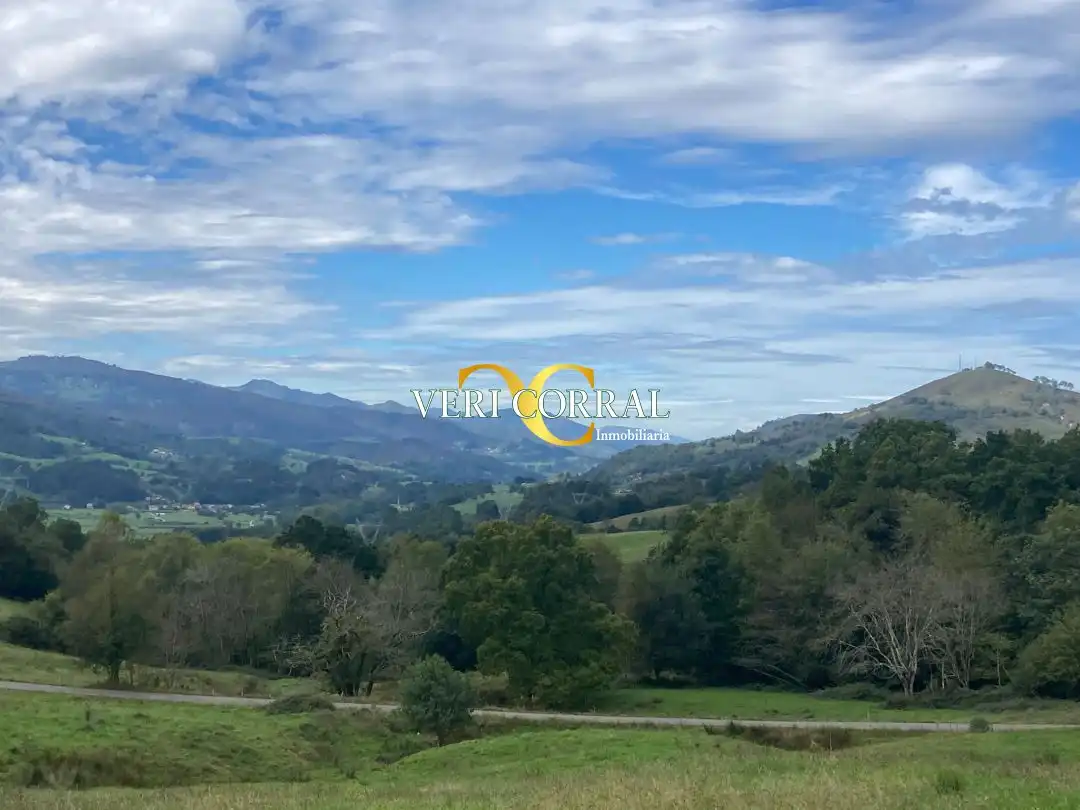 Casa en venta en Mestas de Con, imagen 9