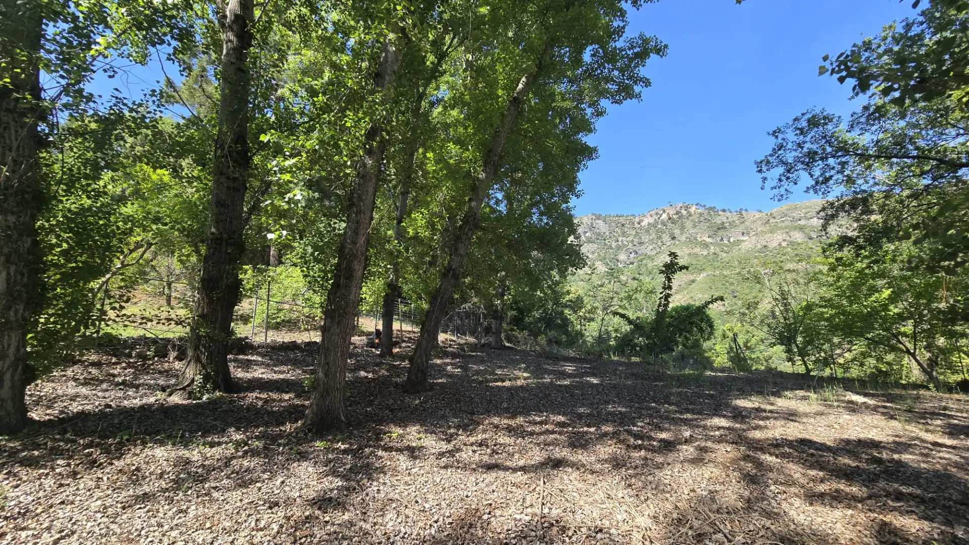 Finca rústica en venta en Villanueva del Arzobispo con Calefacción, Trastero y Piscina