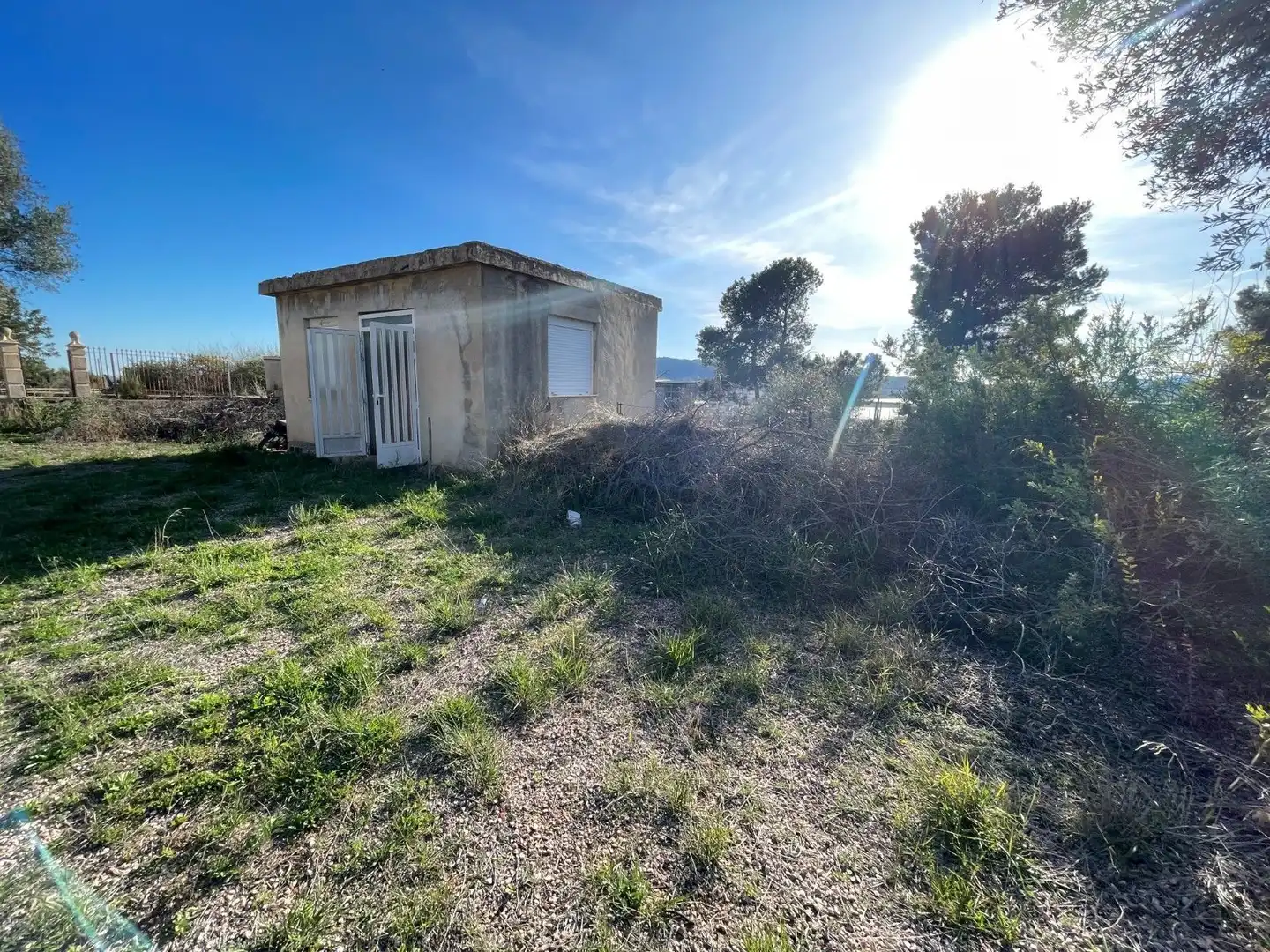 Land for sale in Aspe