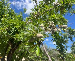 Garden of Country house for sale in Benilloba  with Terrace