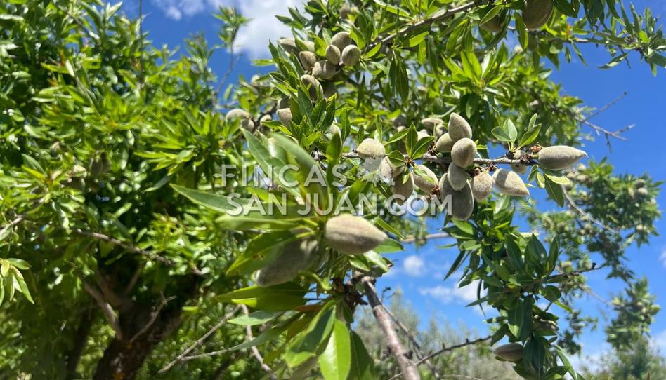 Photo 1 of Country house for sale in Benilloba, Alicante