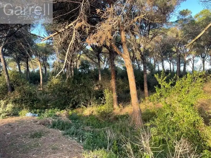 Lands and plots for sale in PL SECTOR INDUSTRIAL C.N. II Polígono  Parcela  AMPLIACIO SECTOR 
JUNTO A CARRETERA N.  PALAFOLLS [BARCELONA], imagen 8