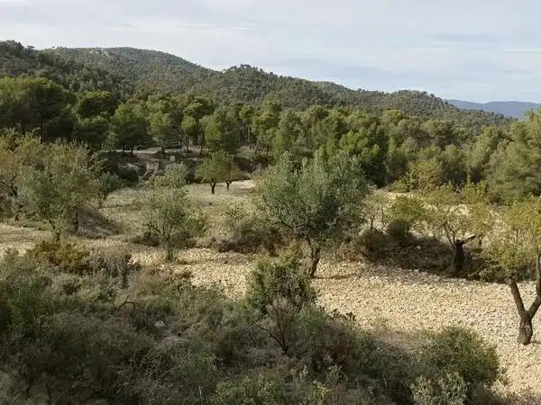 Terreny residencial en venda a Partida Castillo, imagen 9
