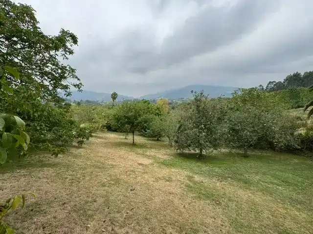 Casa o xalet en venda en Villaviciosa amb Balcó