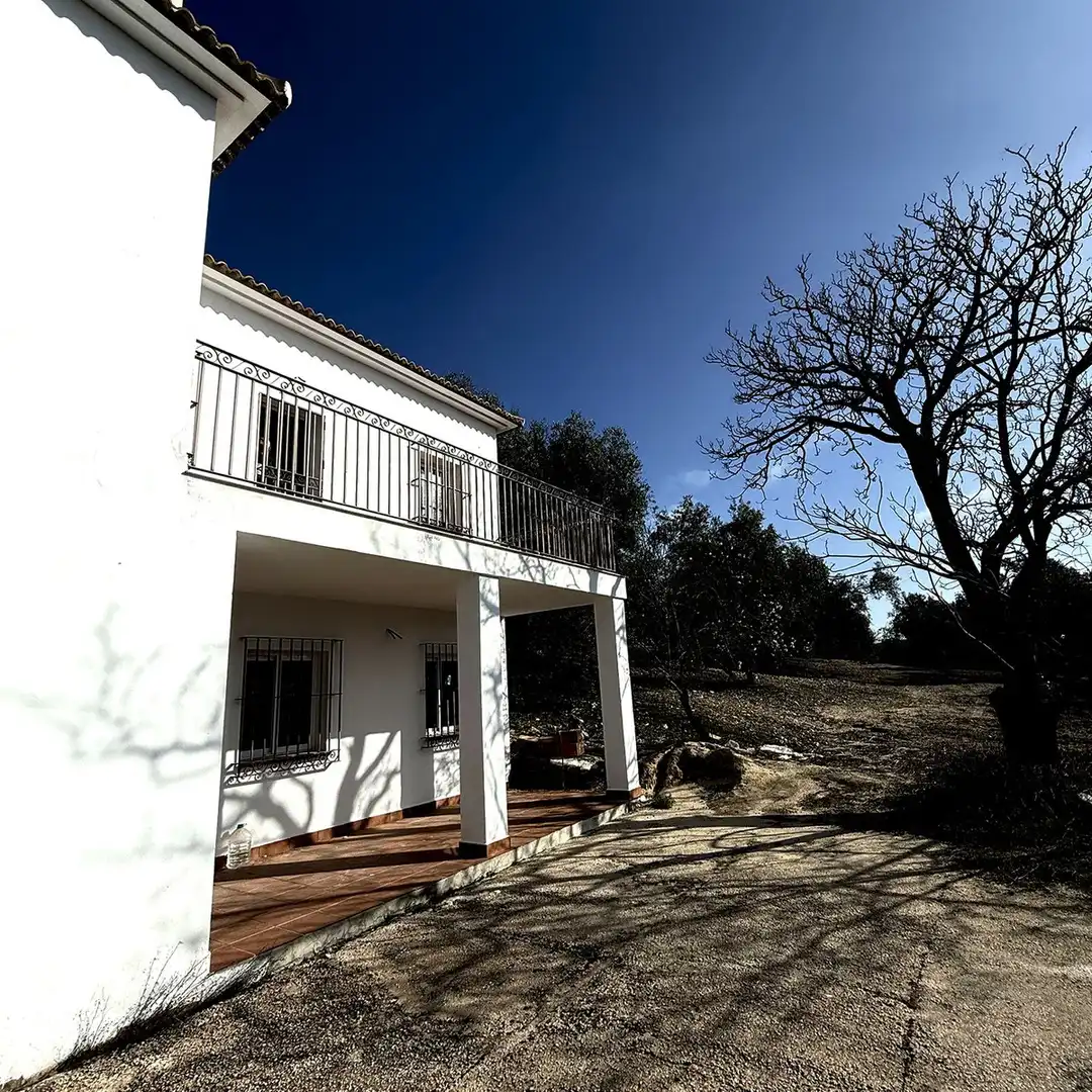 Vista exterior de Casa o chalet en venta en Villanueva de Algaidas con Jardín privado y Terraza