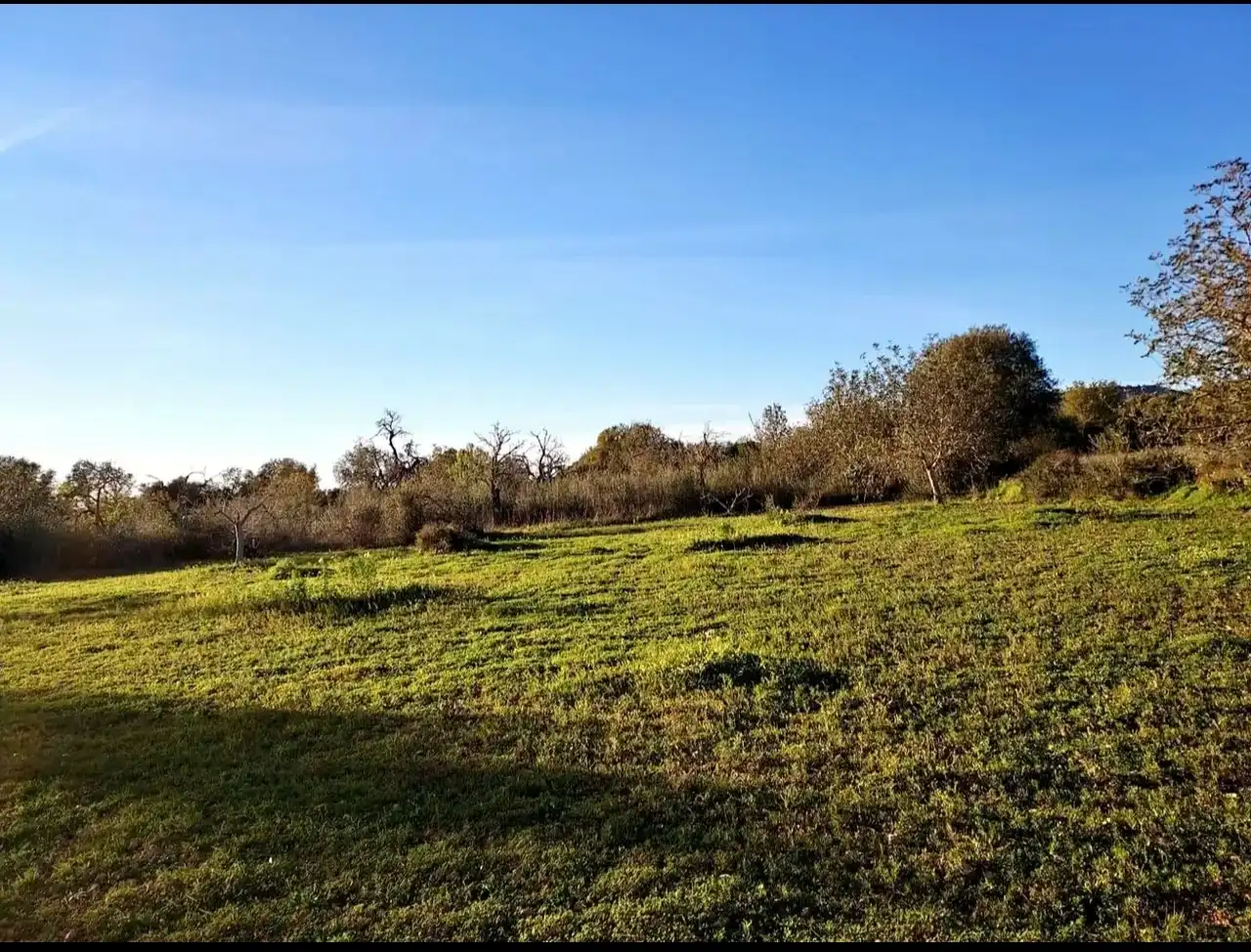 Terreny en venda en Llucmajor