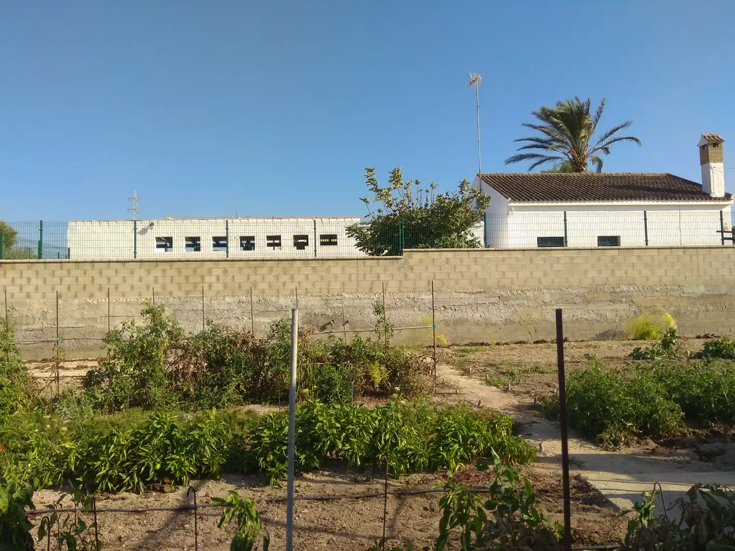 Terrenys i solars en venda a Los Franceses – La Vega, imagen 7