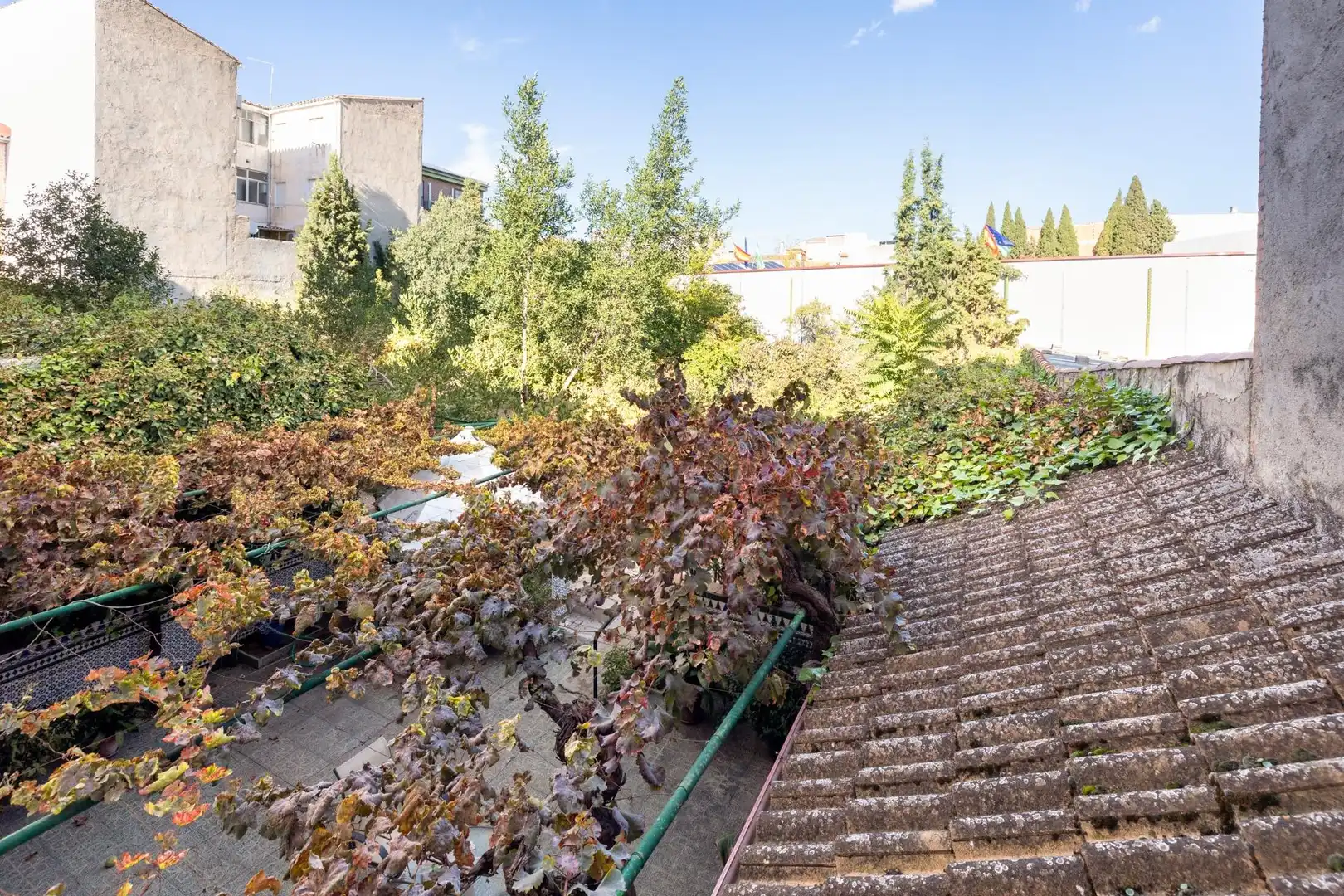 Jardí de Residencial en venda en Peligros