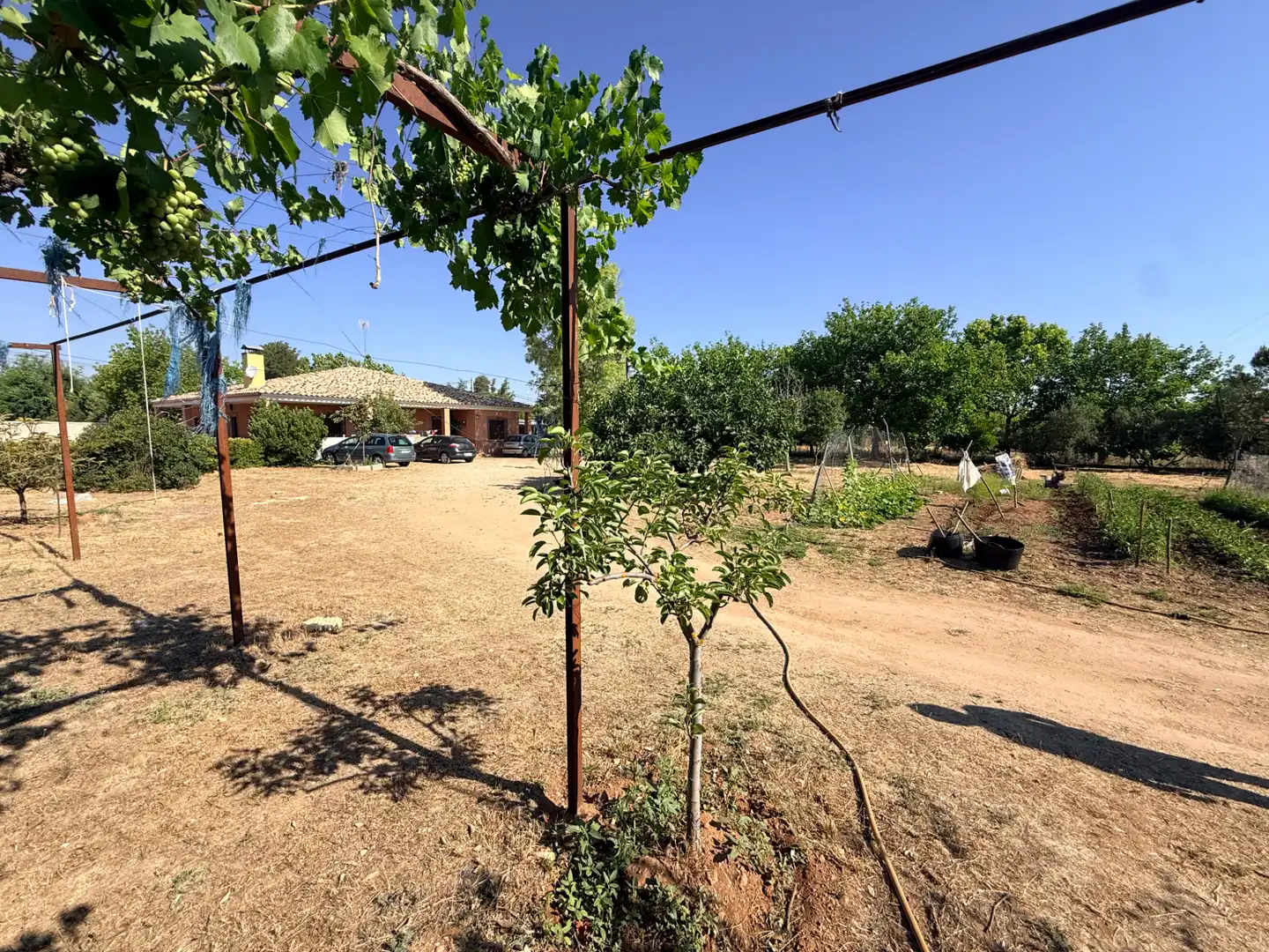 Finca rústica en venda en Tomelloso amb Jardí privat, Piscina i Moblat