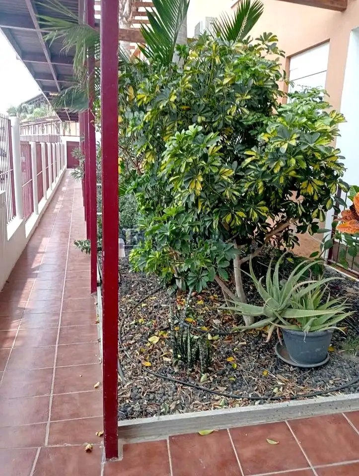 Garden of Flat for sale in San Miguel de Abona  with Air Conditioner, Terrace and Furnished