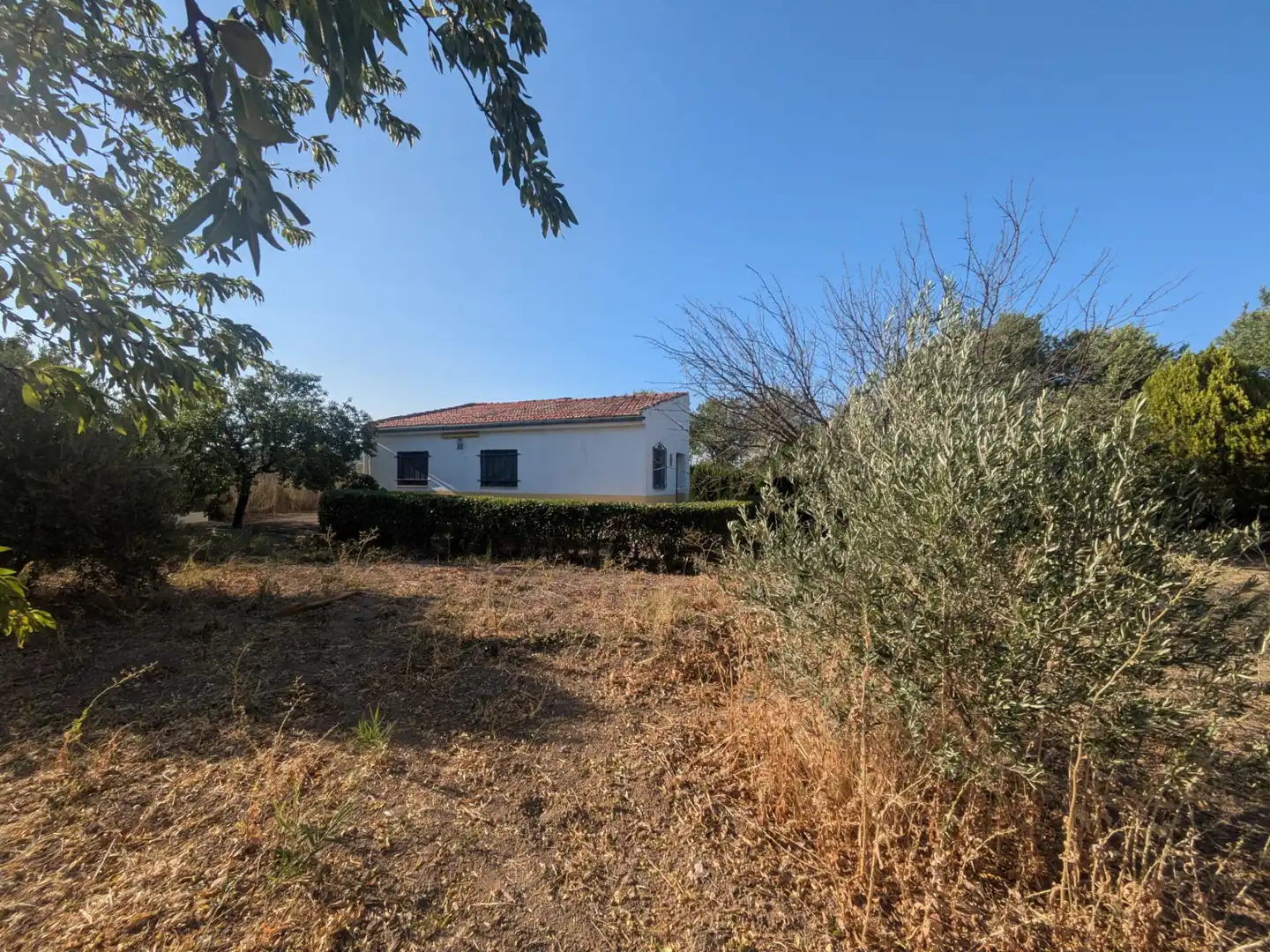 Finca rústica en venda en Morata de Tajuña amb Calefacció i Moblat
