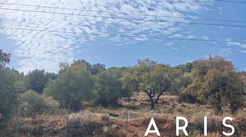 Foto 3 de Terreno en venta en Platero - El Limón, Alhaurín de la Torre