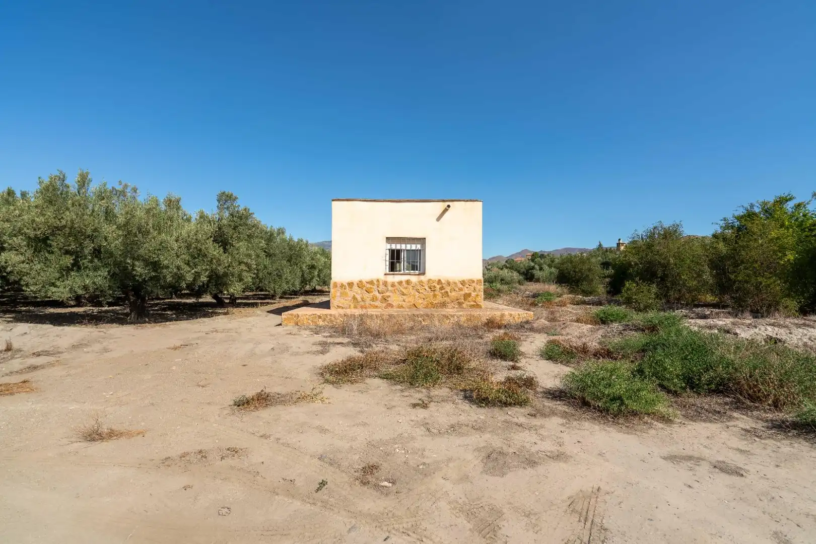 Vista exterior de Residencial en venta en Alsodux