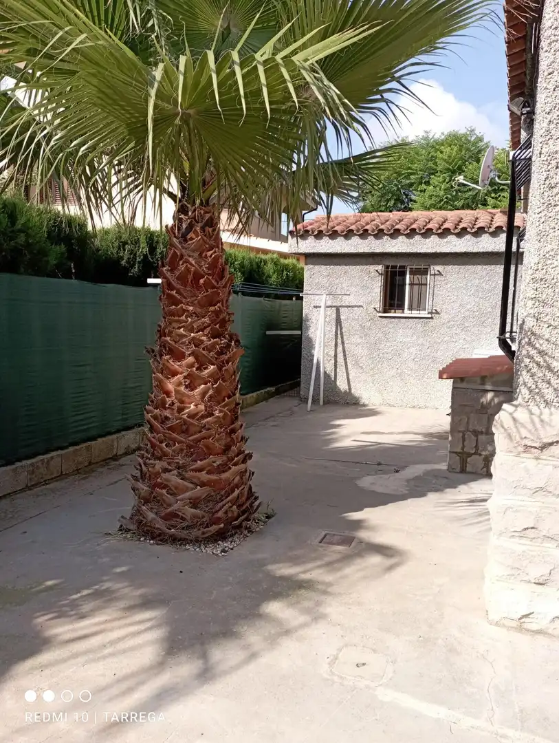 Exterior view of Houses for sale in Vila-real  with Private garden, Terrace and Swimming Pool