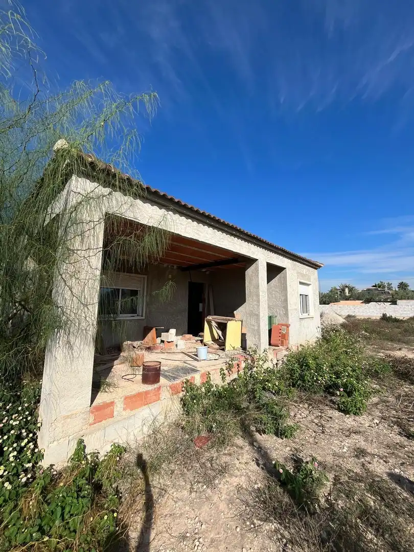 Vista exterior de Finca rústica en venta en Crevillent