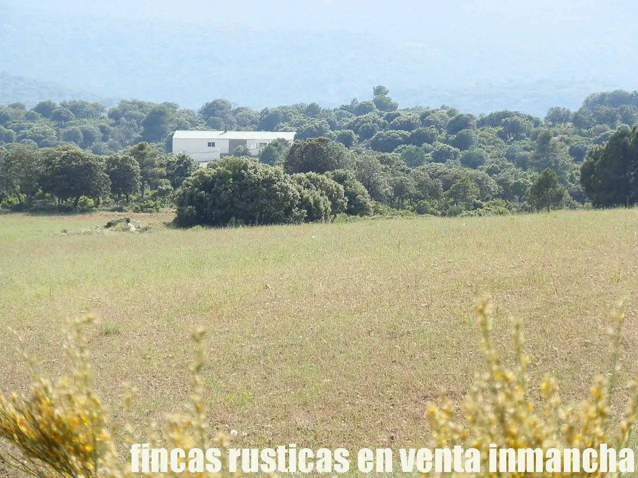 Terreno rustico in vendita a Caravaca de la Cruz, imagen 2