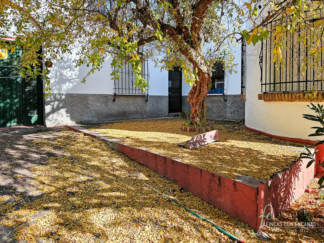 Exterior view of Country homes for sale in Puente Genil  with Terrace and Swimming Pool
