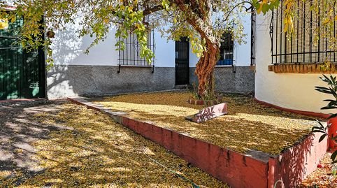 Photo 4 of Country homes for sale in Puente Genil, Córdoba