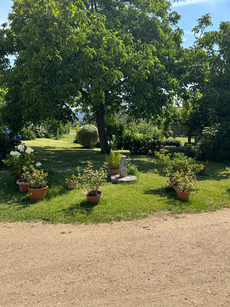 Jardí de Casa o xalet en venda en Meis amb Jardí privat, Traster i Piscina