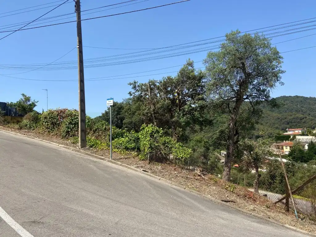 Residential land for sale in Calle Ginesta, imagen 13