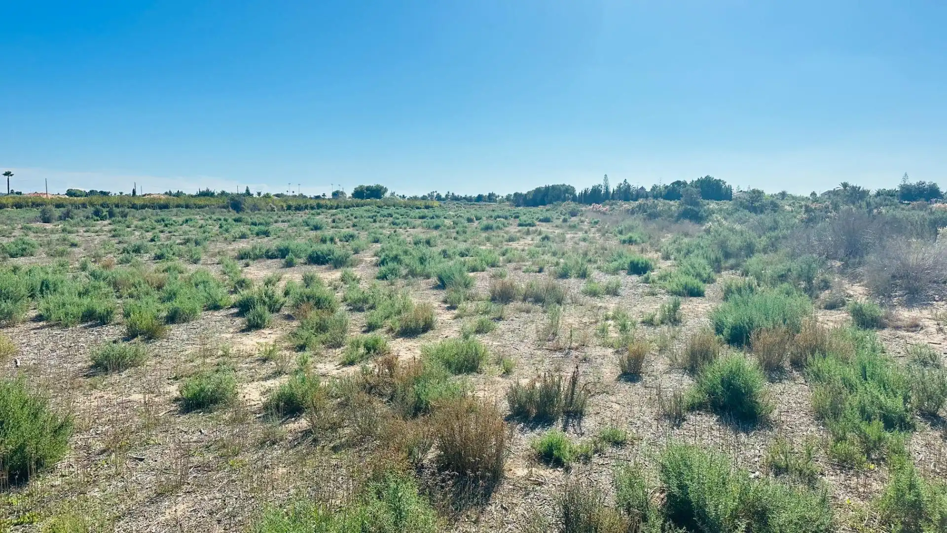 Residencial en venta en Elche / Elx