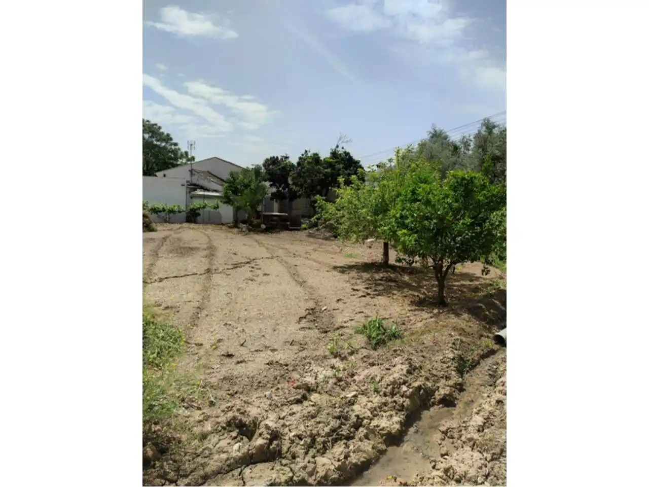 Casa o chalet en venta en Rute, Córdoba