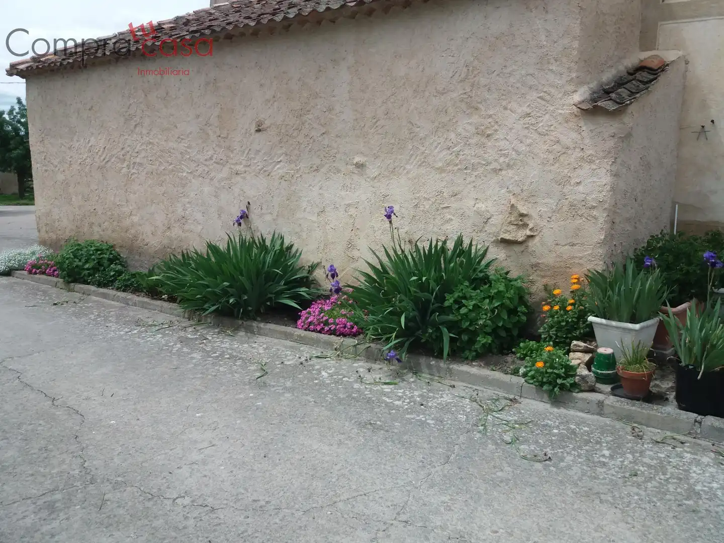 Vista exterior de Finca rústica en venta en Turégano con Jardín privado y Trastero