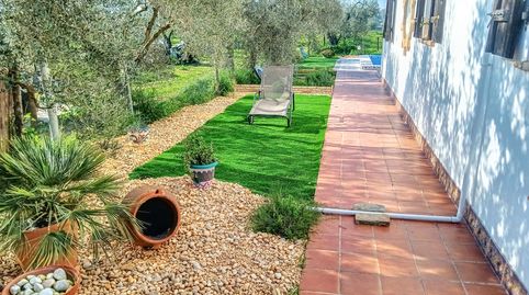 Finca en venta en Almonte, imagen 2
