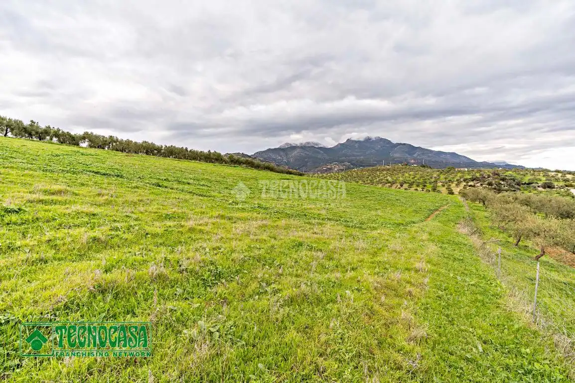 Rural land for sale in Alozaina, imagen 14