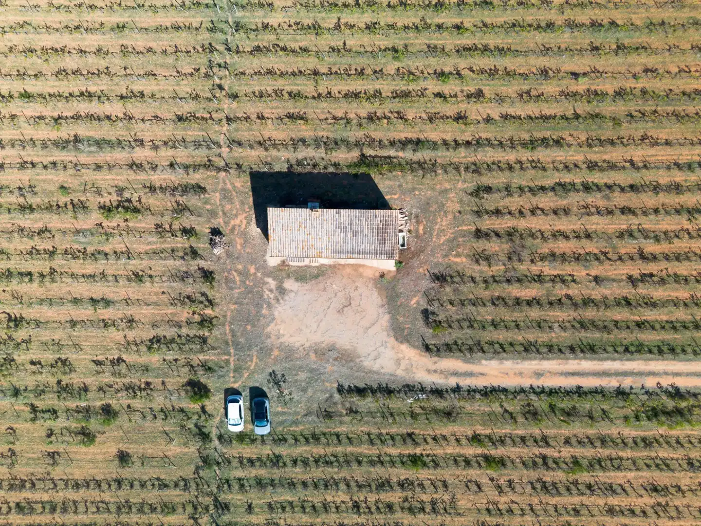 Terreno rustico in vendita a Camino POLIGONO 5, imagen 22