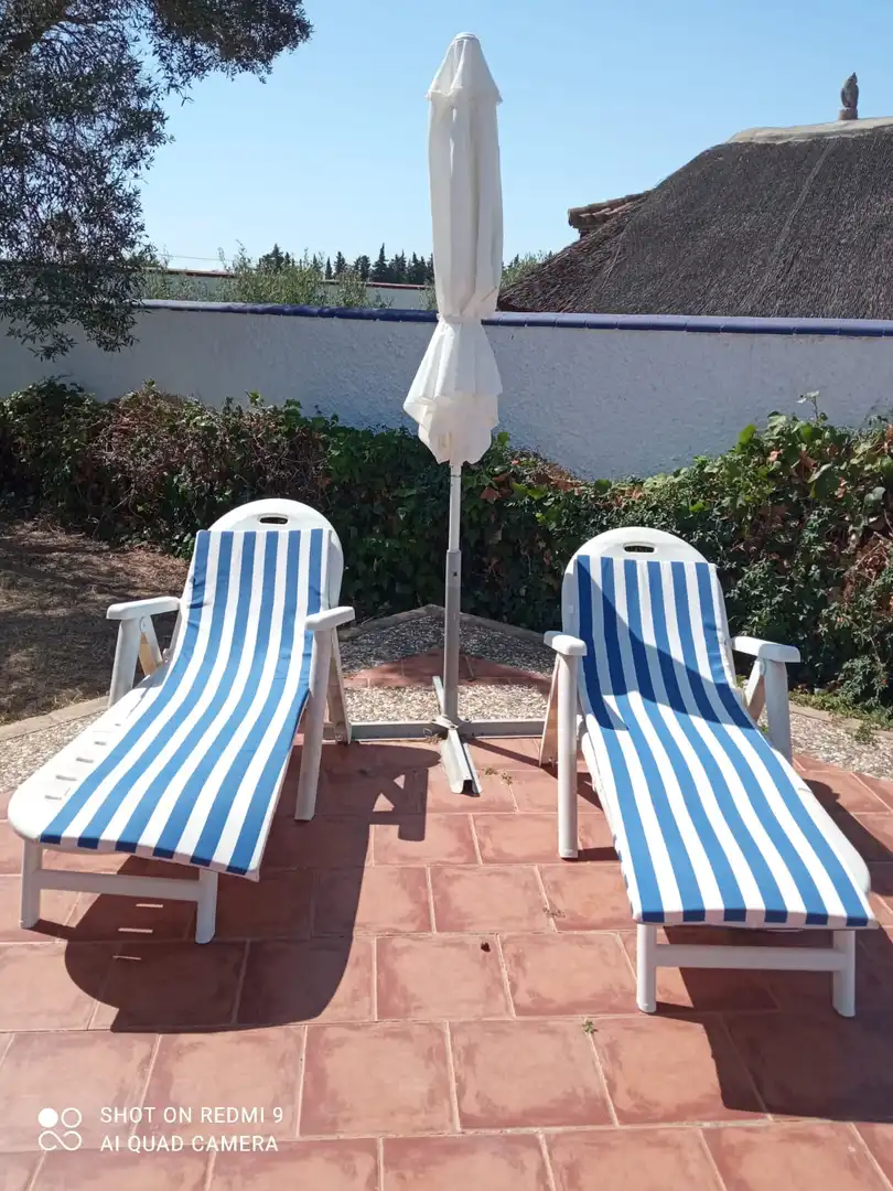 Houses for rent in Camino de Montealto, Las Lagunas - Campano
