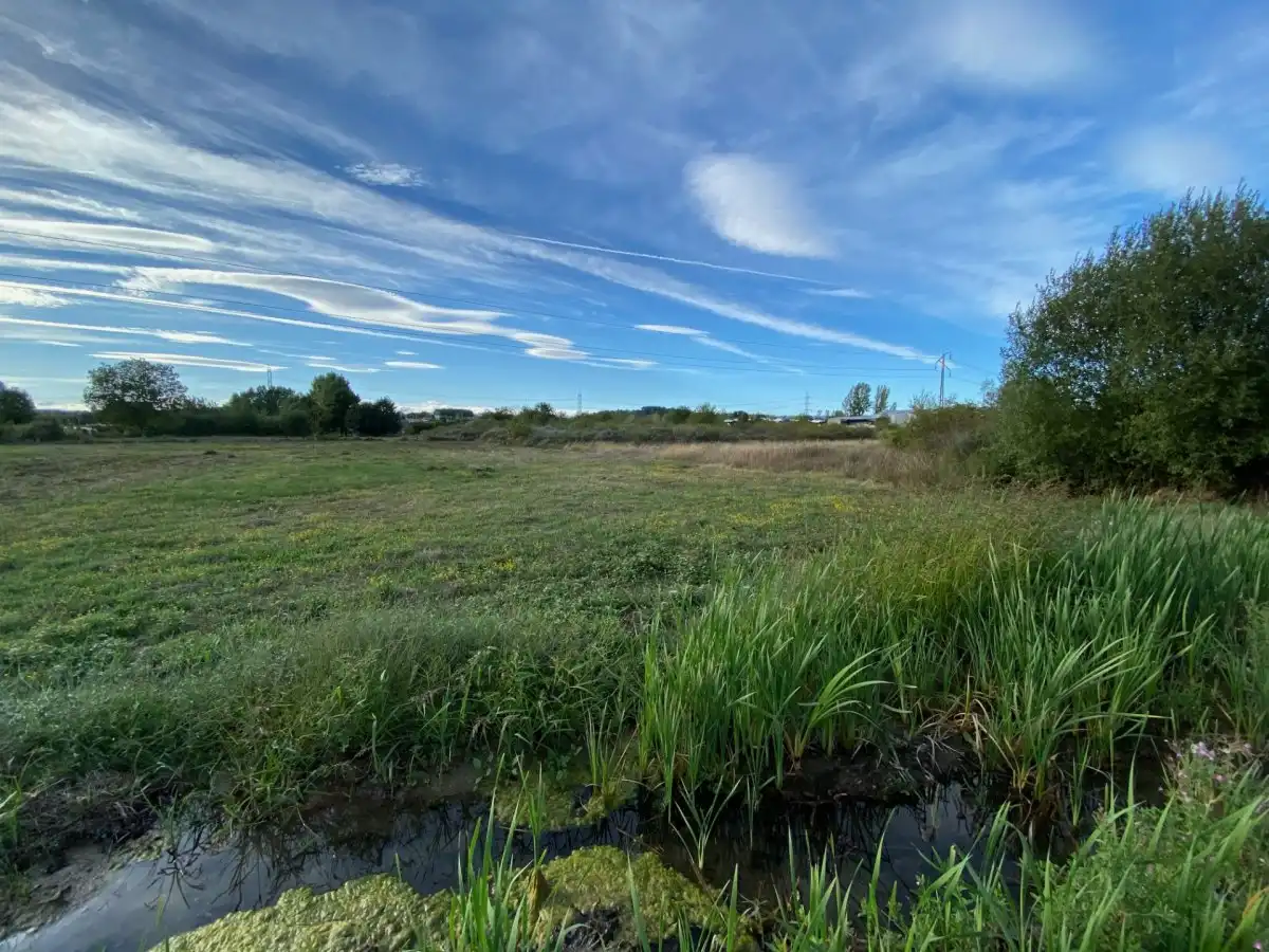 Finca rústica en venta en Ponferrada