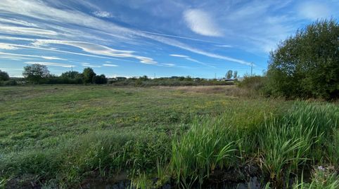 Foto 3 de Finca rústica en venta en Compostilla - Columbrianos, Ponferrada