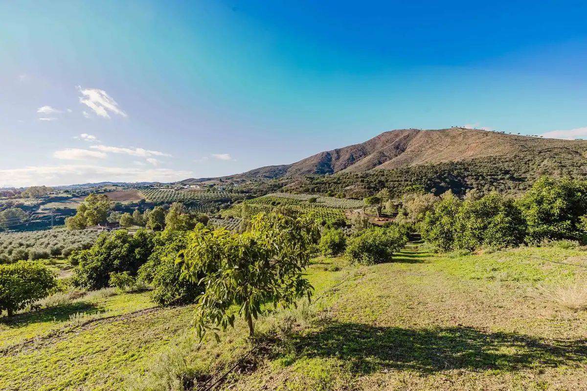 Casa con terraza en venta en Cmo. Diseminado Entrerrios, imagen 43