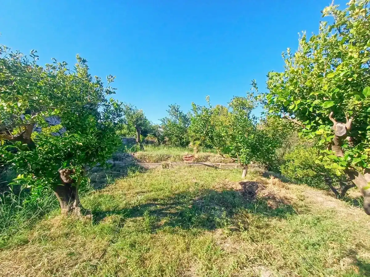 Finca rústica en venta en Polop