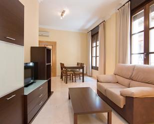 Living room of Apartment to rent in  Granada Capital  with Air Conditioner