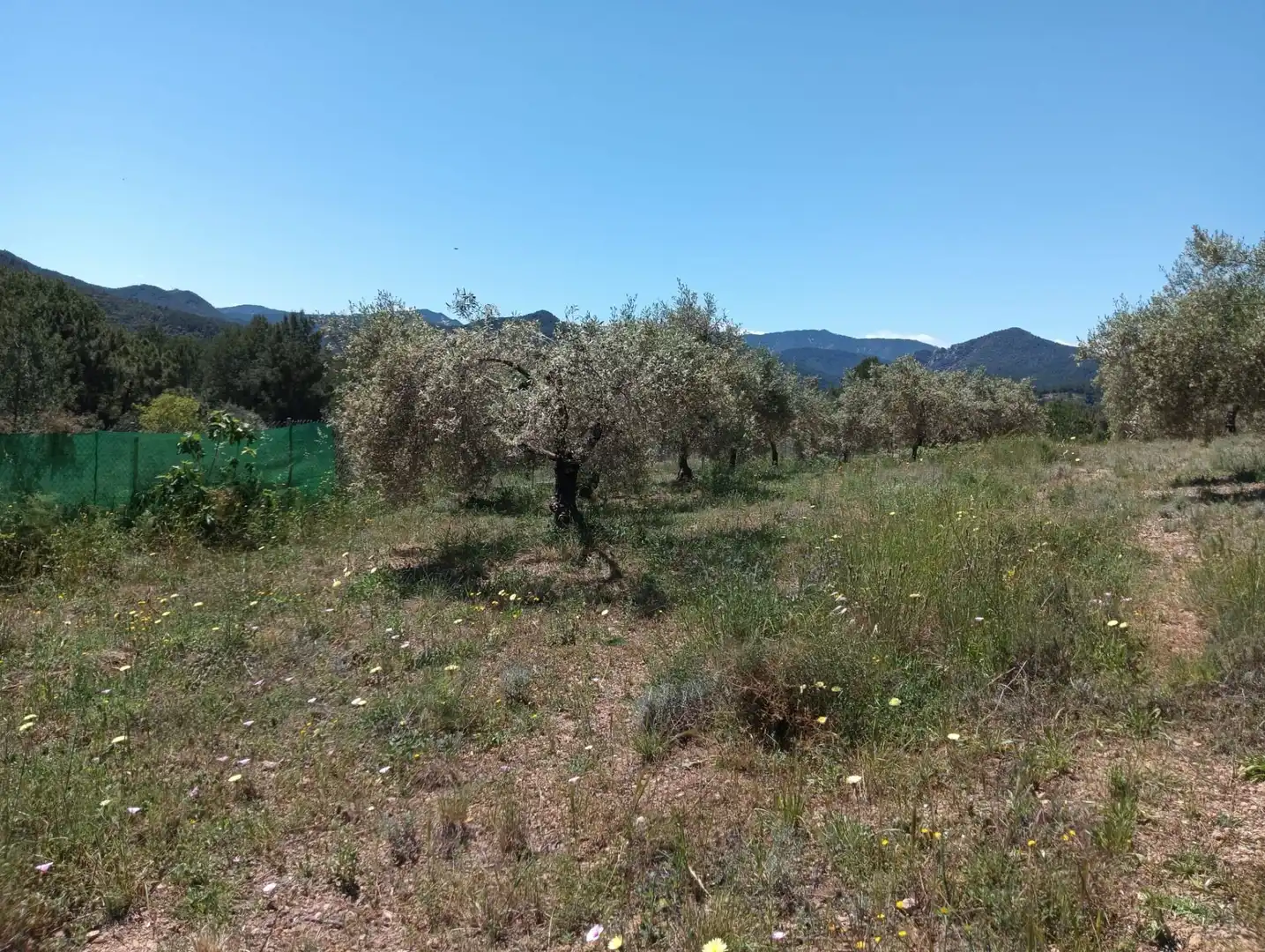 Rural land for sale in Onda, imagen 8