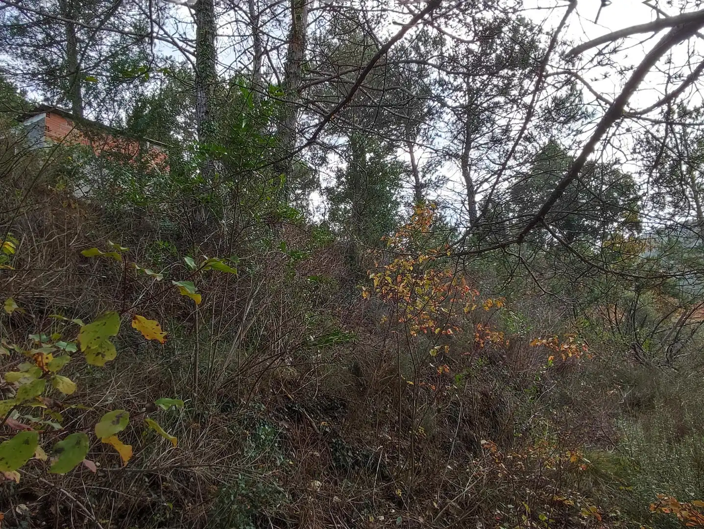 Terrain rustique à vendre à Monistrol de Calders, imagen 37