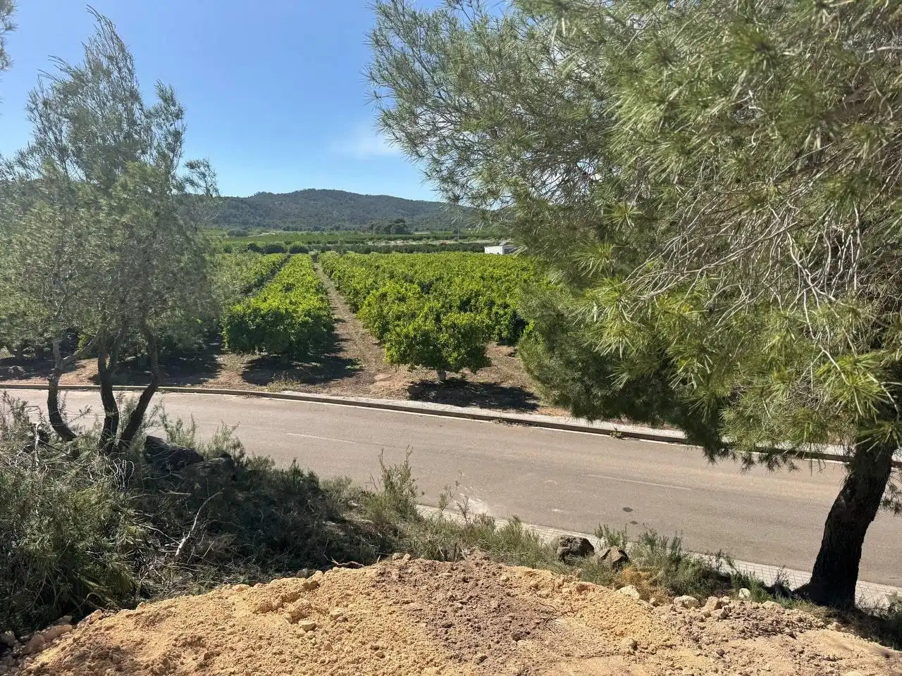 Terreny residencial en venda a Calle Calle Salzes, imagen 4