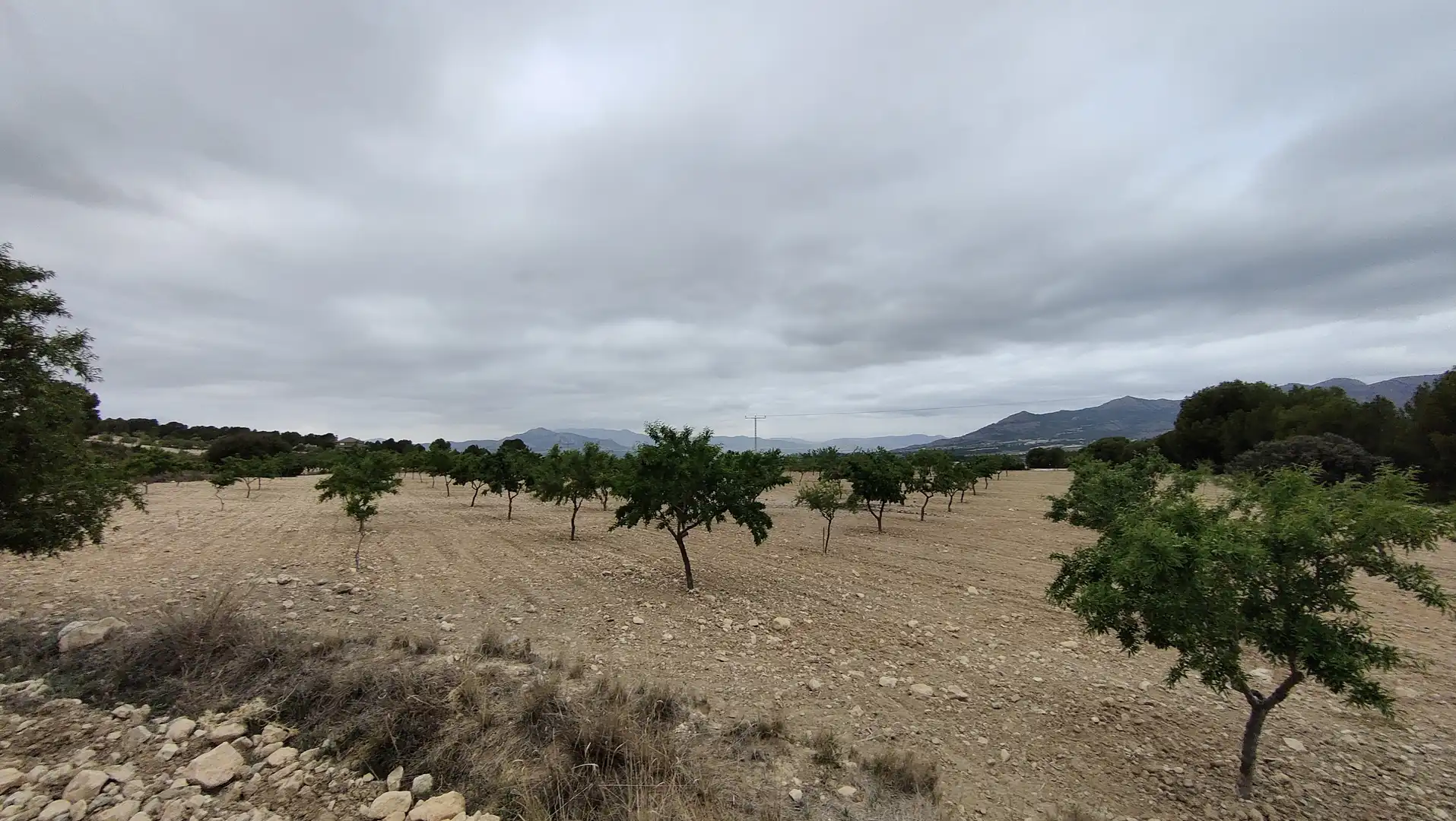 Terreno rustico in vendita a Plaça Poligono 3 271, imagen 10