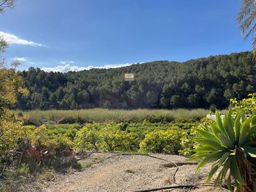 Wohnbaugrundstück zum Verkauf in Callosa d'en Sarrià
