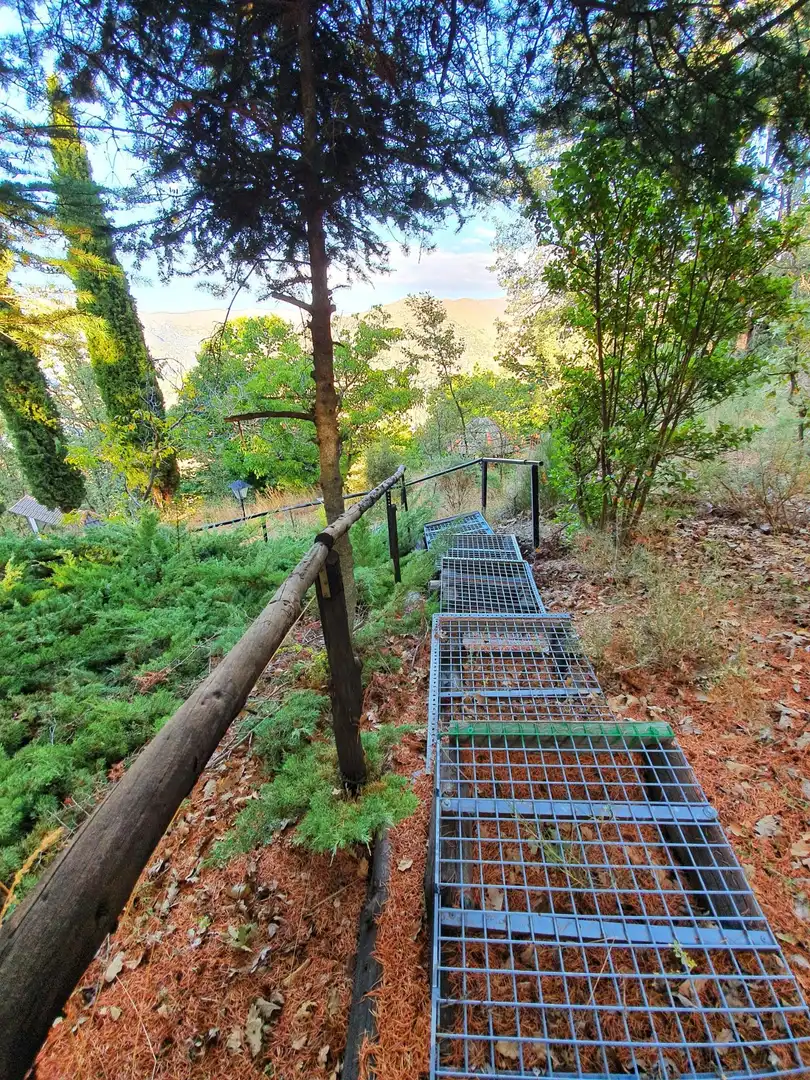 Vista exterior de Casa o chalet en venta en Güéjar Sierra con Calefacción, Jardín privado y Terraza